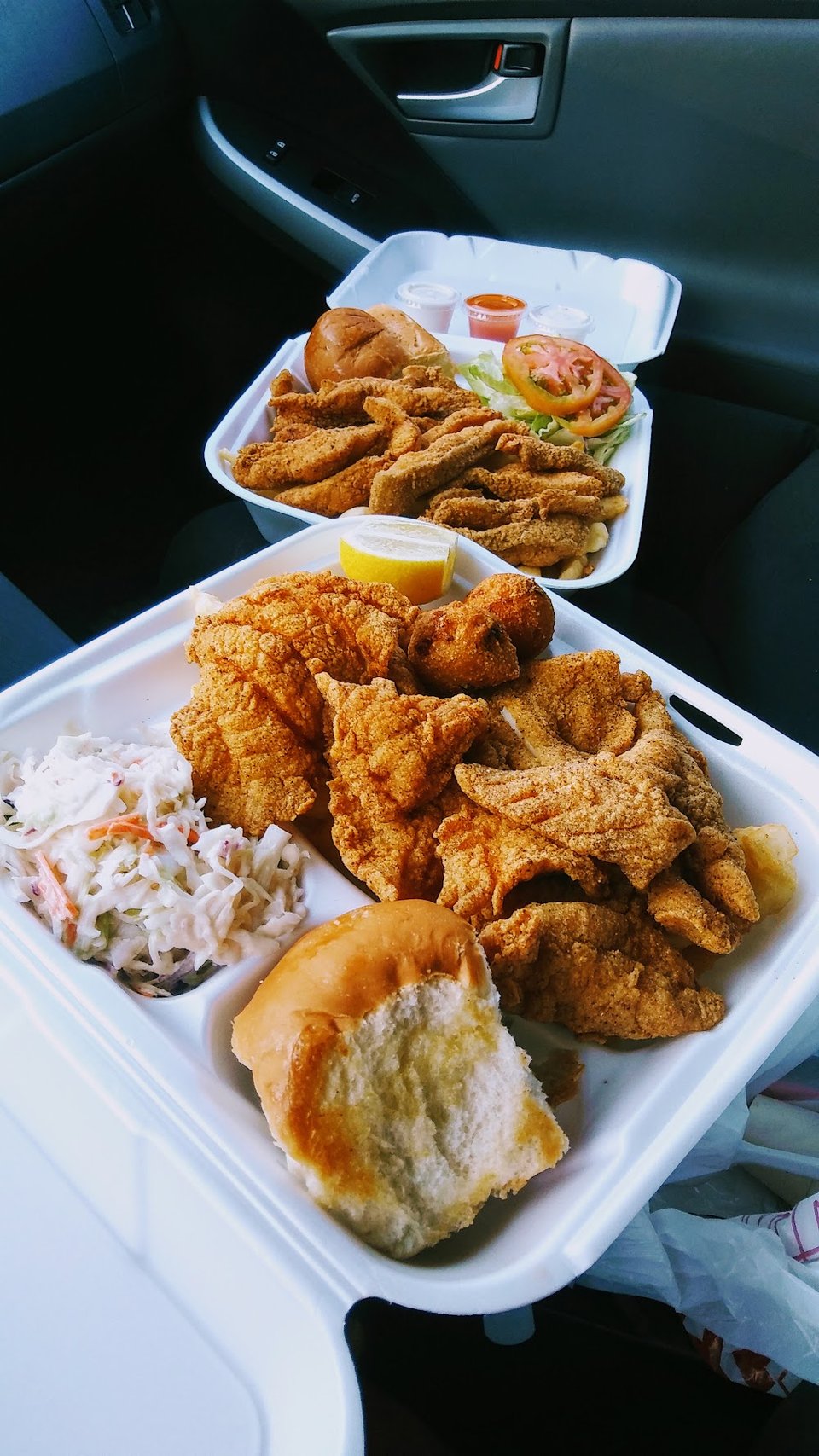 Red Snapper and Catfish